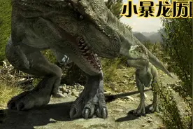 第46集 《特暴龙历险记》之死里逃生视频封面