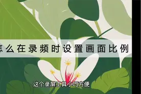 怎么在电脑录屏时设置画面比例？不会的可以看看这个视频封面