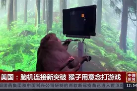 美国脑机连接新突破 猴子用意念打游戏视频封面