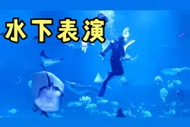 烟台的渔人码头：海昌鲸鲨馆