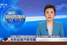 山东省人大常委会原党组成员、副主任张新起被开除党籍视频封面
