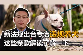 遛狗不牵绳违法？新规出台专治违规养犬，这些条款解读了解一下！