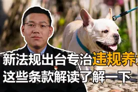 遛狗不牵绳违法？新规出台专治违规养犬，这些条款解读了解一下！