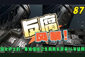 反腐风暴第87集 因女护士的一条短信给卫生局局长带来14年徒刑视频封面
