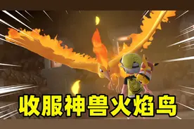 精灵宝可梦19：来到冠军山洞，我用超级球收服神兽火焰鸟视频封面