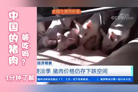 1分钟了解中国猪肉够吃吗？价格还会涨吗？视频封面