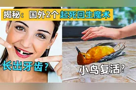魔术揭秘：让小鸟起死回生，让牙齿重新长出来，1天播放量超500万视频封面