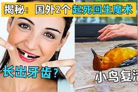 魔术揭秘：让小鸟起死回生，让牙齿重新长出来，1天播放量超500万视频封面