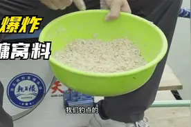 大爆炸 鲢鳙窝料 介绍及雾化演示视频封面