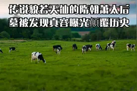 传说貌若天仙的隋朝萧太后墓被发现真容曝光顛覆历史视频封面