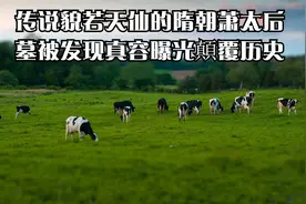 传说貌若天仙的隋朝萧太后墓被发现真容曝光顛覆历史视频封面