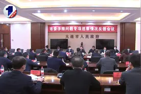 根治粮食购销领域腐败 大连市委涉粮问题专项巡察完成反馈视频封面