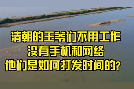清朝的王爷们不用工作，没有手机和网络，他们是如何打发时间的？视频封面