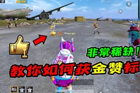 教你如何获得出生岛“金赞”标，满足要求人人都有！