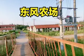 重返上海崇明岛八大农场之一风瀛路上“东风农场”带你看现在景象视频封面