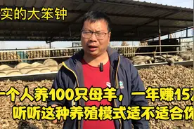 一个人养100只母羊，一年赚15万，听听这种养殖模式适不适合你视频封面