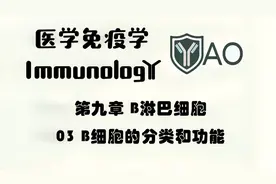 09_03 B细胞的分类和功能