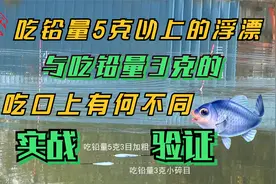 冬季野钓，吃铅量5克以上的浮漂与3克的在鱼吃口上有何不同视频封面