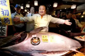 日本天价鱼王,重达222公斤拍卖出1.55亿元,捕捞一条直接秒变富豪!