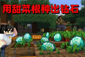 我的世界mod：教你们用甜菜根种出钻石！还有村民帮忙打理
