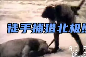 拿最简单的木制长矛竟然敢单挑北极熊，这爱斯基摩猎人也太勇了！视频封面