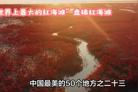 “世界上最大的红海滩”盘锦红海滩｜中国最美的50个地方之二十三视频封面