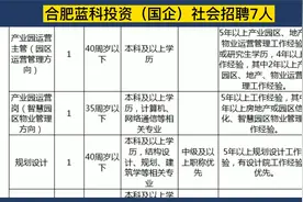 合肥蓝科投资（合肥市国企）社会招聘7人，相关专业可报，正式工视频封面