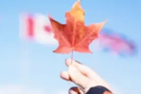 中加两国陷入最严重的危机！申请加拿大十年签证的中国人减半！视频封面