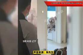 “太会享受生活”狗子卧床枕枕头等主人回家 狗子：你咋回来了视频封面