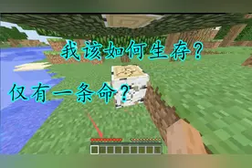极限生存：仅有一条命！我能在我的世界大陆活几天？