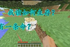 极限生存：仅有一条命！我能在我的世界大陆活几天？