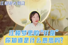 红楼梦大词典│《红楼梦》里的“打趸（dun三声）”是什么意思？视频封面