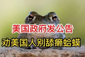 美国吸毒者口味儿太重  流行舔癞蛤蟆  政府无奈发公告劝阻视频封面