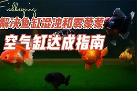 解决鱼缸混浊和白雾蒙蒙，空气缸达成指南：养鱼笔记第4季52集视频封面