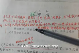 跟我读三年级语文下册《枣核》，附课堂笔记视频封面