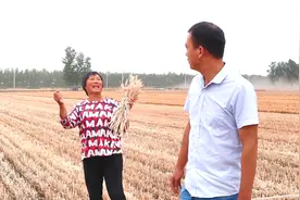 河南农村大旱，小伙非要跪在地里求雨，丈母娘却说只要下雨我也跪视频封面