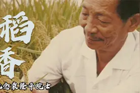 一首改编版的《稻香》纪念袁隆平爷爷，国士无双，稻因您而香，视频封面
