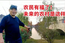 未来农村是啥样？看江苏这村就知道了！人在画中游，让城市人羡慕视频封面