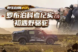 野生自驾#05 罗布泊科考纪实（1）：初遇野骆驼
