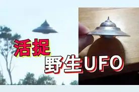 波兰UFO照片是假的？揭秘骗局的全过程视频封面