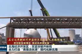 北海经济开发区：全力打造“高强活优清”现代化新北海视频封面
