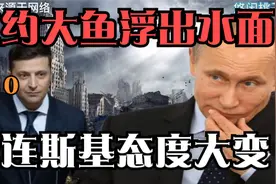 俄军攻入亚速钢铁厂！北约大鱼浮出水面，泽连斯基态度大转变！视频封面