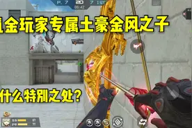 氪金才能获得到的黄金风之子，到底有什么特别之处？视频封面