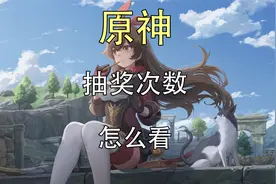 原神抽奖次数怎么看？原神抽奖次数查询
