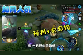 国服钟馗打30星段位：超强预判+索命神钩，钩中必死如同人机！