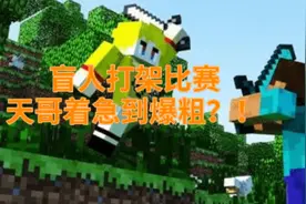 我的世界：天哥主持盲人打架大赛的解说，着急到爆粗口！