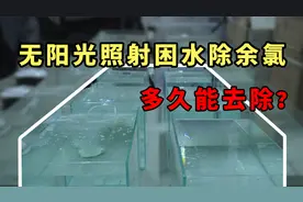 无阳光照射条件下除氯困水需要多久？一起来找答案视频封面