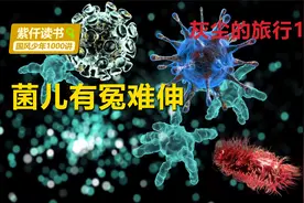 灰尘的旅行13：菌众中并非全是不良分子，别忽略我有发酵的本领视频封面