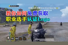 教你如何免费获取，职业选手认证Logo视频封面