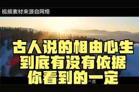 古人说的相由心生，到底有没有依据，你看到的一定是真实的吗视频封面